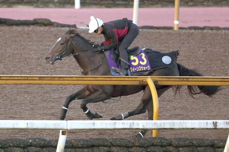 　競走除外になった前走からの巻き返しに燃えるクイーンズウォーク（撮影・中田匡峻）