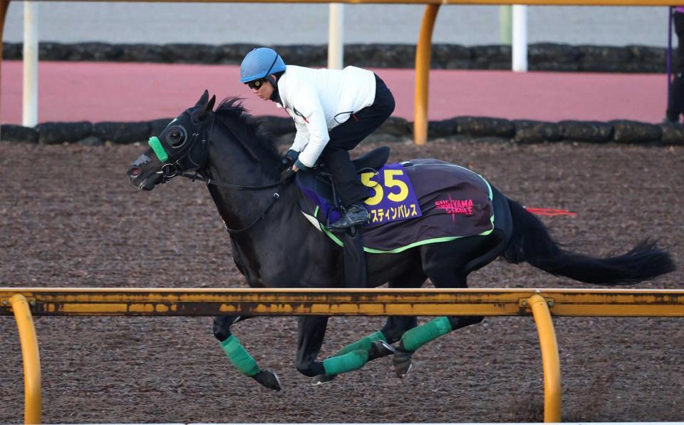 　栗東ＣＷで追い切るジャスティンパレス（撮影・中田匡峻）