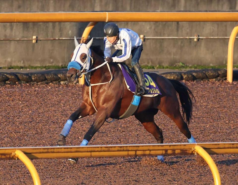 　宝塚記念からのＧ１連勝を目指すメイショウタバル（撮影・中田匡峻）