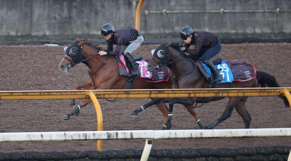 　皐月賞馬の兄の背中を追いかけるフェスティバルヒル（左）