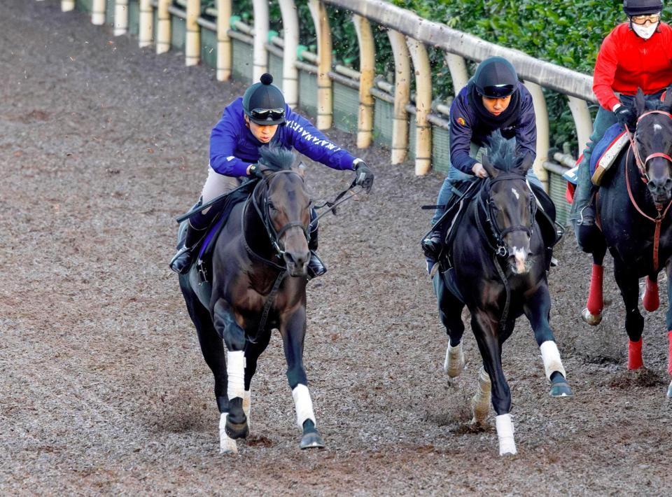 　３年ぶりの３歳馬制覇を目指すミュージアムマイル（左）＝撮影・石湯恒介