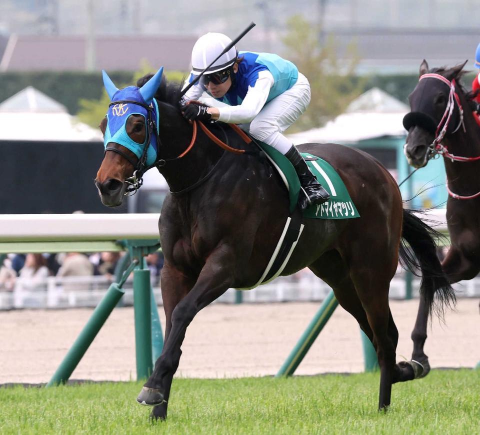 　アドマイヤマツリ