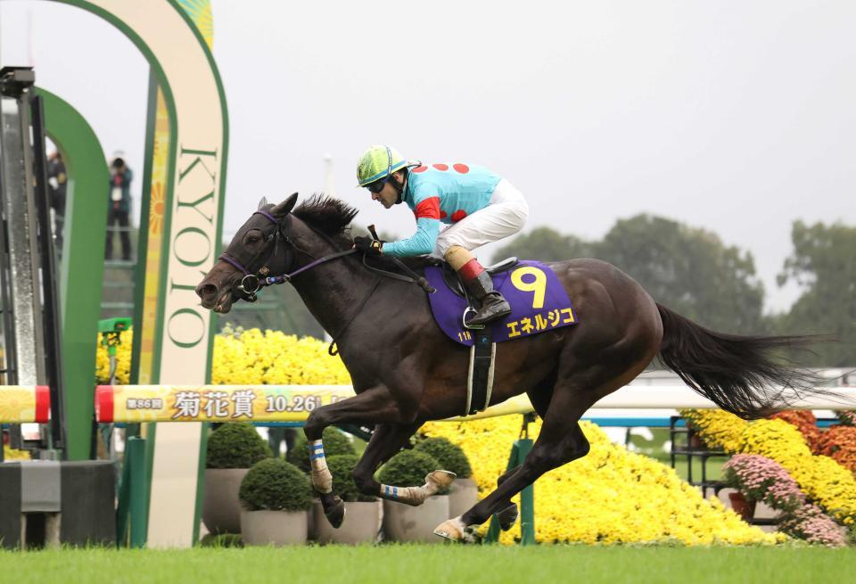 　菊花賞を制したエネルジコ