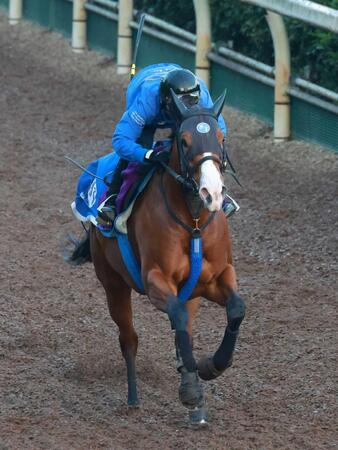　きっちり仕上がったママコチャ（撮影・石湯恒介）