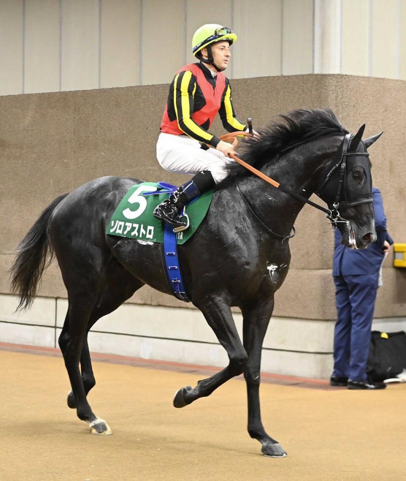 　サウジアラビアＲＣで３着に敗れたゾロアストロ＝１０月１１日