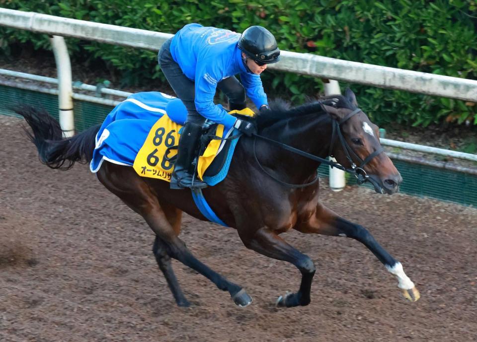 地方競馬】JBCレディスクラシック オーサムリザルト 力強い脚さばき