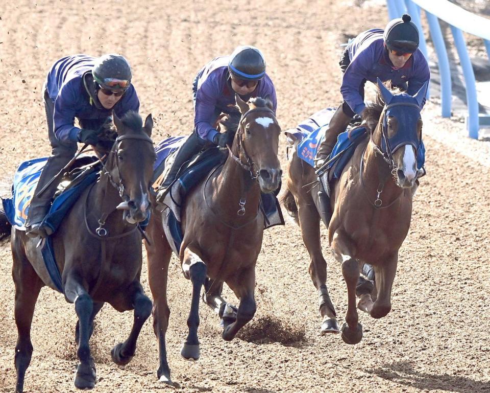 　手応えで圧倒したミッキーファイト（右）＝撮影・園田高夫