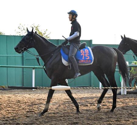 【天皇賞】コスモキュランダ　最内枠の利生かす　リズミカルな動きに加藤士師「スイッチが入っている感じ」