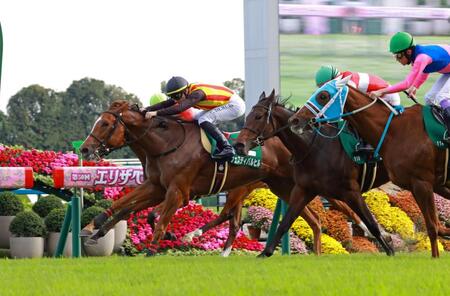 　ファンタジーＳを制したフェスティバルヒル（左）＝撮影・石湯恒介