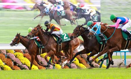　馬群を縫うように追い上げるフェスティバルヒル（左から２頭目）＝撮影・石湯恒介