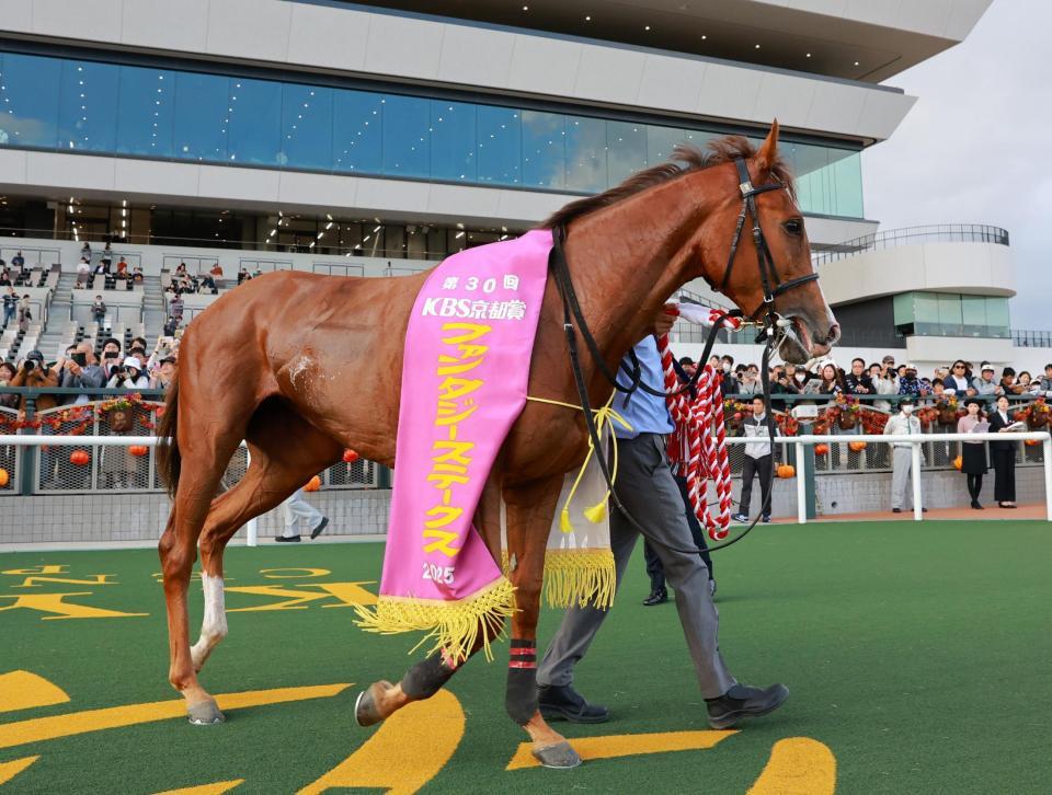 　ファンタジーＳを制したフェスティバルヒル（撮影・石湯恒介）