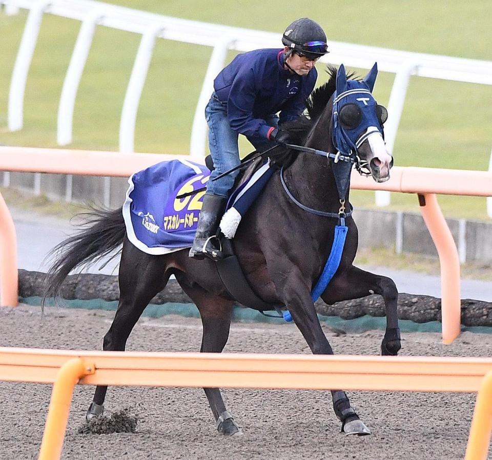 　マスカレードボール（撮影・園田高夫）