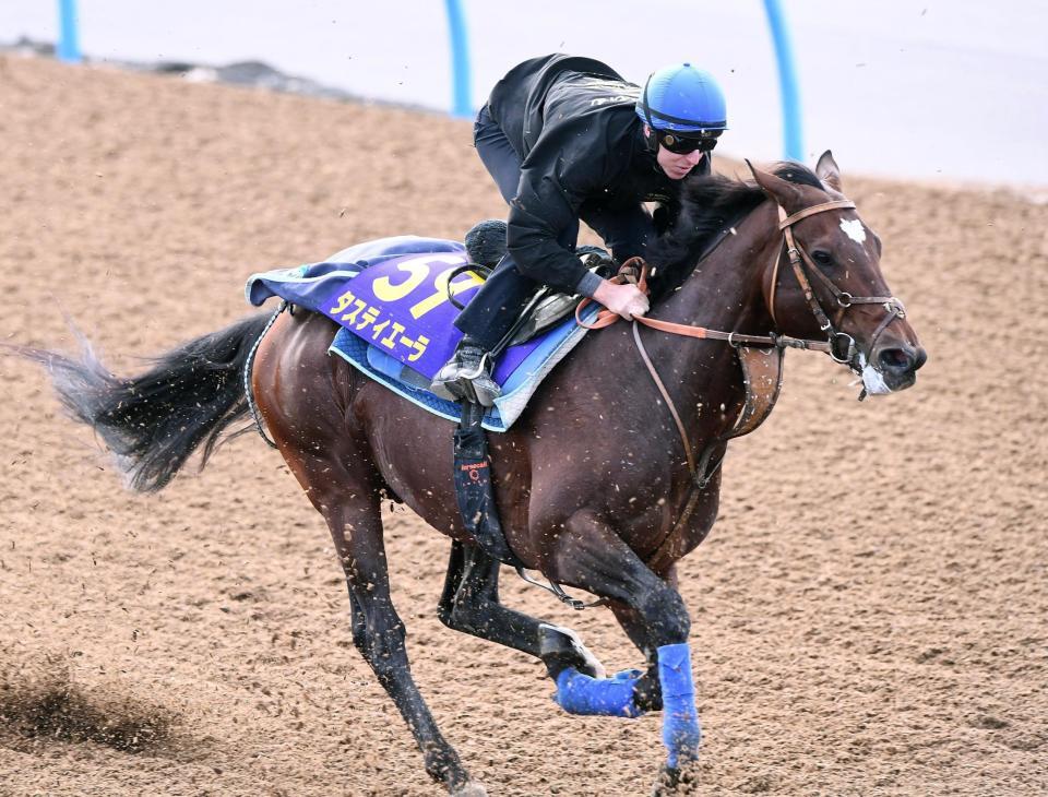 タスティエーラとダミアン・レーン騎手