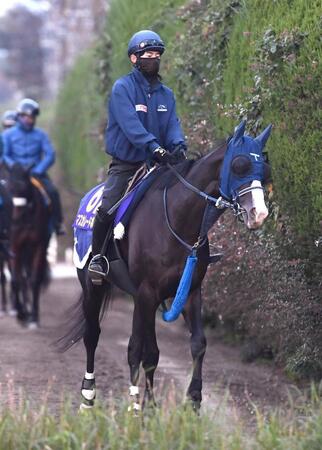 【天皇賞】マスカレードボール　一番の落ち着き　花本助手「Ｇ１は甘くないが、将来のためにも結果を出してほしい」