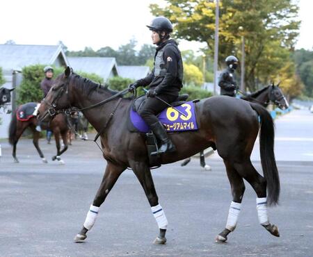 【天皇賞】ミュージアムマイル　気合乗ってきた　嘉堂助手「皐月賞の時と同じような雰囲気。速い時計の決着も問題ない」