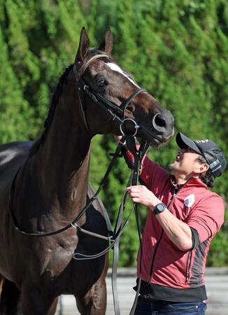 【天皇賞】クイーンズウォーク　除外の影響なし　安井助手「状態は今までで一番と言っていいほど」