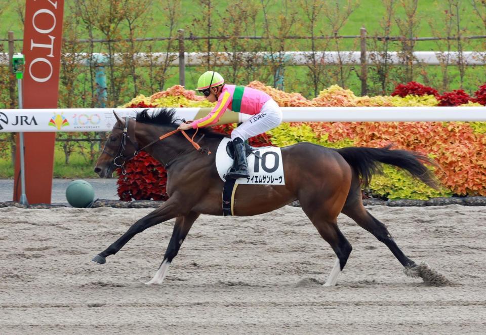 　新馬戦を快勝したテイエムサンレーヴ（撮影・石湯恒介）