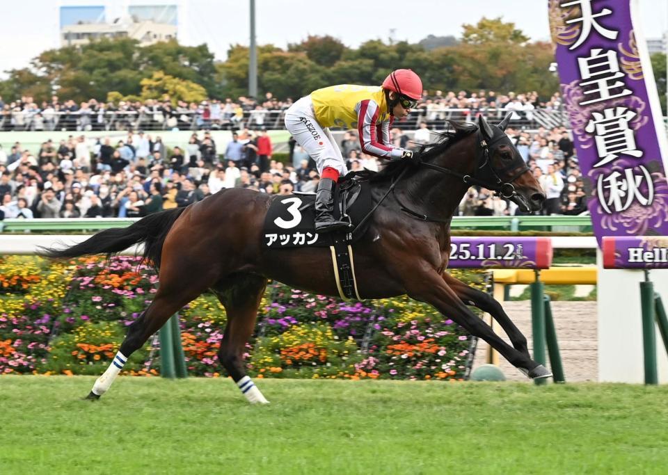 　百日草特別を制したアッカン（撮影・持木克友）