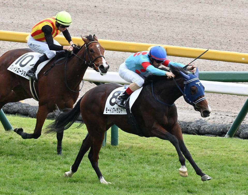 　勝利したモートンアイランド（撮影・園田高夫）