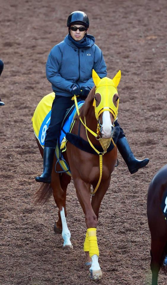 　重賞初制覇を狙う実力馬ボルドグフーシュ