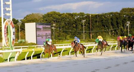 　直線での一騎打ちを制したホーリーグレイル（左）＝撮影・中山伸治