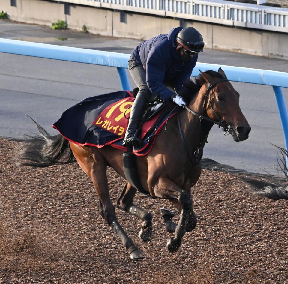 　美浦Ｗで追い切られたレガレイラ（撮影・持木克友）