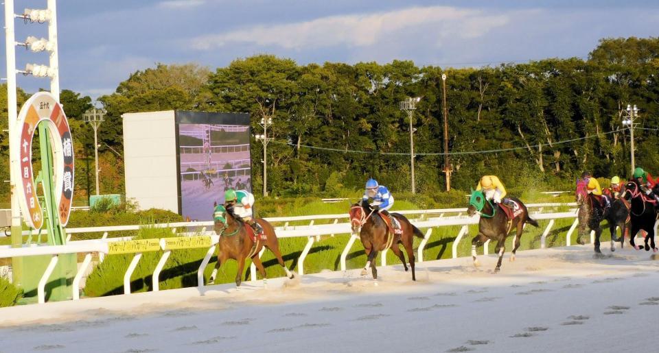 　直線での一騎打ちを制したホーリーグレイル（左）＝撮影・中山伸治