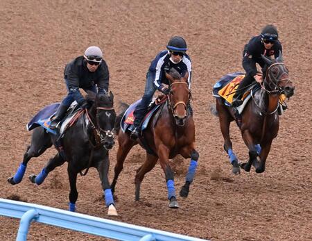 　美浦Ｗで３頭併せで追い切られたカナテープ（中央）＝撮影・持木克友