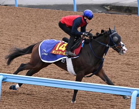 【エリザベス女王杯】ボンドガール 気性は許容範囲 手塚久師「差し脚が生きる形になってくれれば」