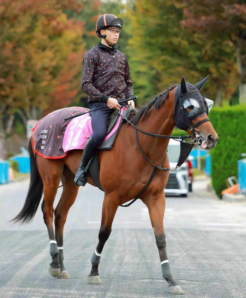 　初陣Ｖを狙うフレッチャアズーラ