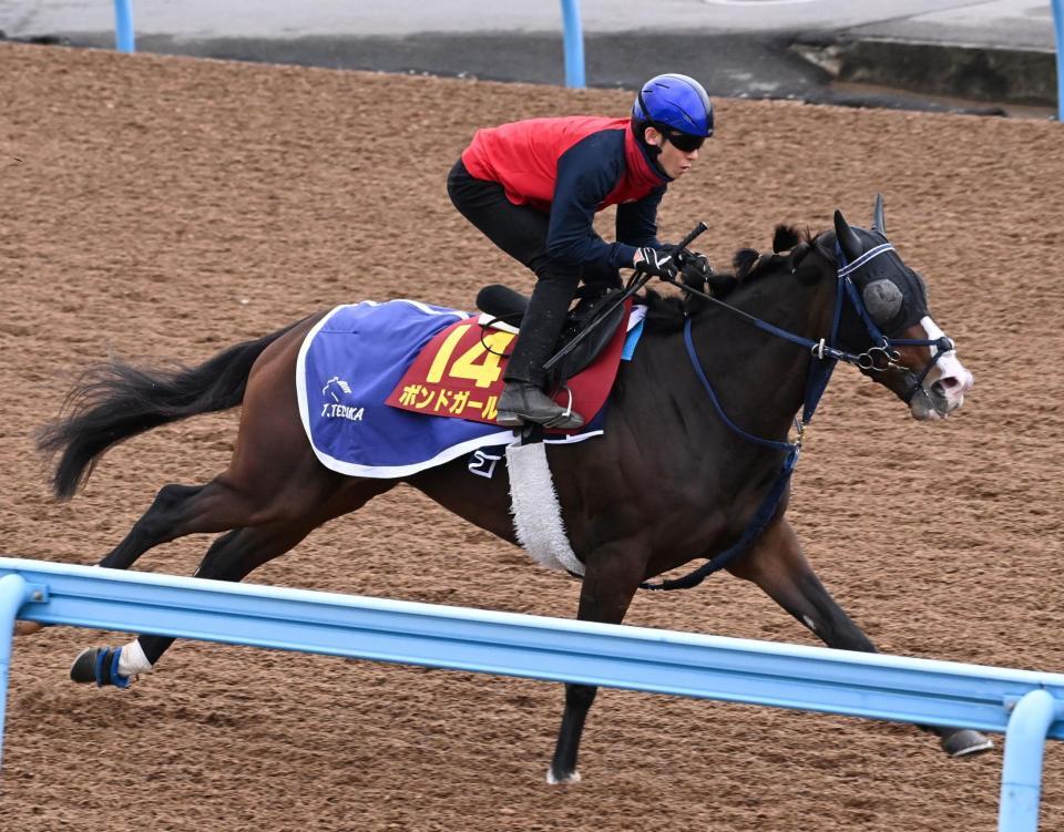 　美浦Ｗで単走で追い切られたボンドガール（撮影・持木克友）