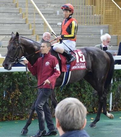 　凱旋門賞で敗れたクロワデュノール＝１０月５日