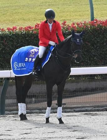 　誘導馬デビューしたカラテ（撮影・持木克友）