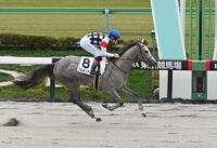 　２歳未勝利を勝ったプルメリアリノ（撮影・持木克友）