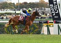 　京王杯２歳Ｓを制したダイヤモンドノット（撮影・持木克友）