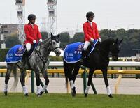 　誘導馬デビューを果たしたカラテ（右）＝撮影・持木克友