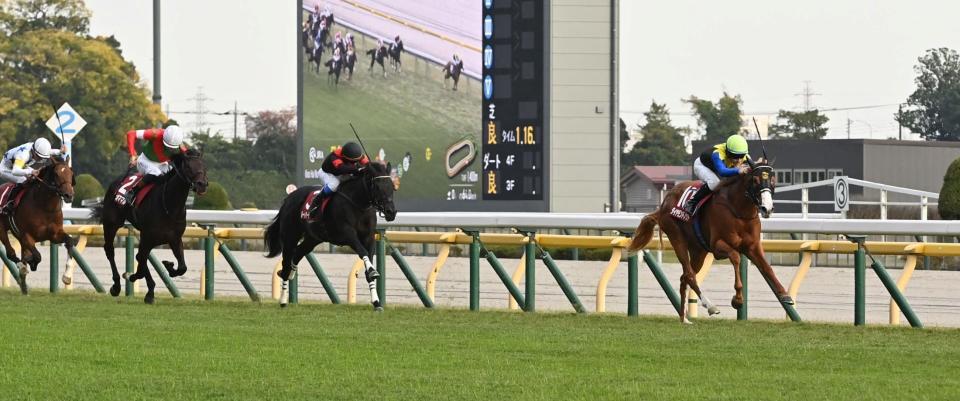 　直線で後続を突き放し制したダイヤモンドノット（撮影・持木克友）