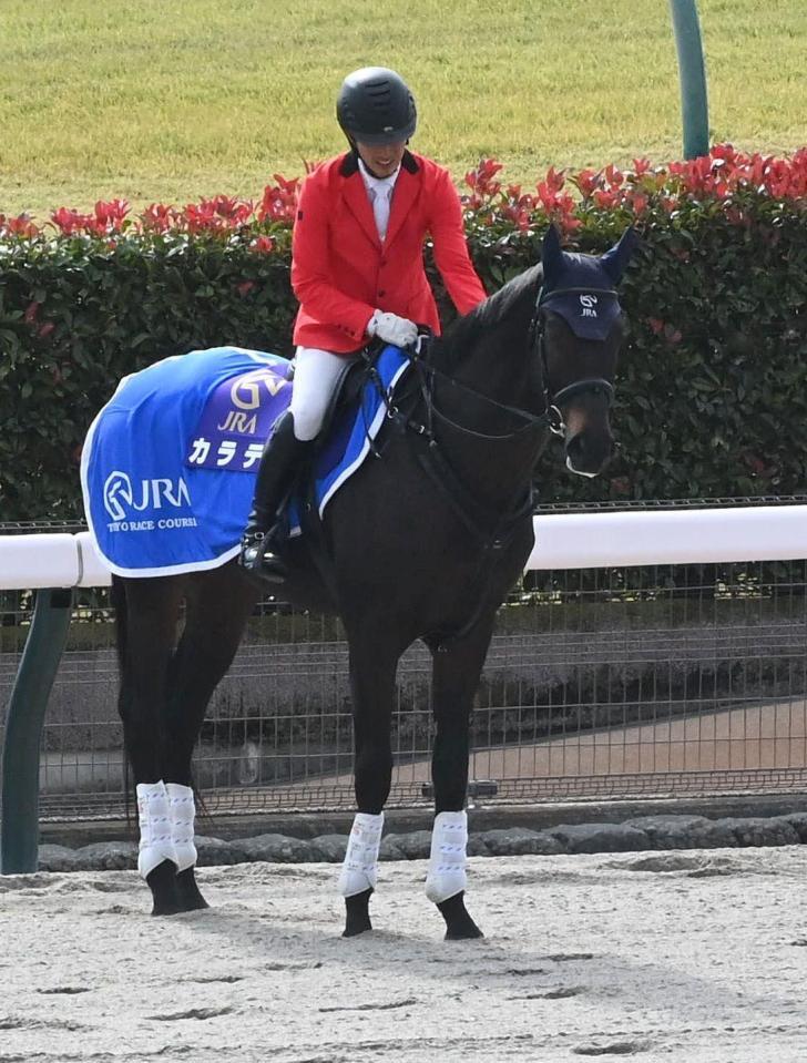 　誘導馬デビューしたカラテ（撮影・持木克友）
