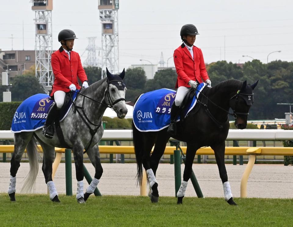 　誘導馬デビューを果たしたカラテ（右）＝撮影・持木克友