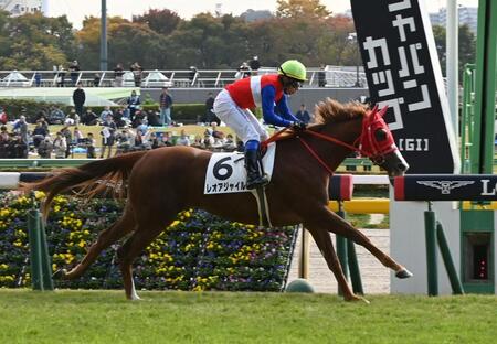 　メイクデビュー戦を制したレオアジャイル（撮影・持木克友）