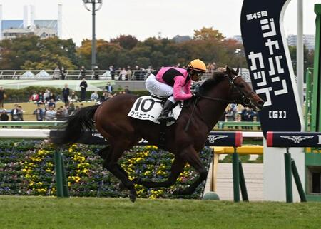 　メイクデビュー戦を制したラヴェニュー（撮影・持木克友）