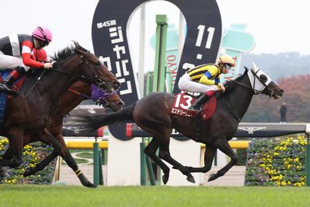 　スティンガーグラス（左手前）の猛追を振り切りアルゼンチン共和国杯を制したミステリーウェイ（右）