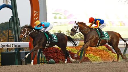 　レコードをたたき出したダブルハートボンド（左）＝撮影・石湯恒介