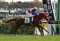 　メイクデビュー戦を制したレオアジャイル（撮影・持木克友）