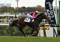 　メイクデビュー戦を制したラヴェニュー（撮影・持木克友）