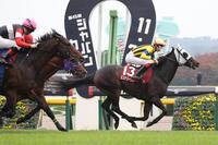 　スティンガーグラス（左手前）の猛追を振り切りアルゼンチン共和国杯を制したミステリーウェイ（右）