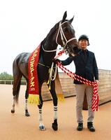 　みやこＳを制したダブルハートボンド（撮影・石湯恒介）