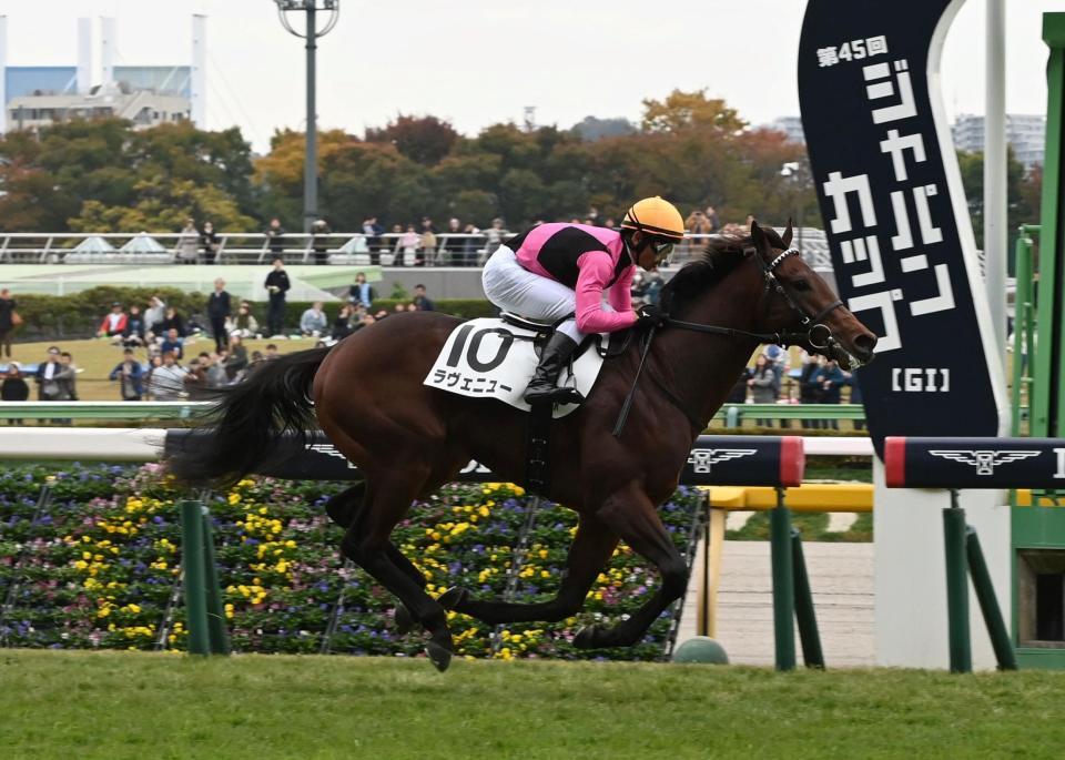 　メイクデビュー戦を制したラヴェニュー（撮影・持木克友）