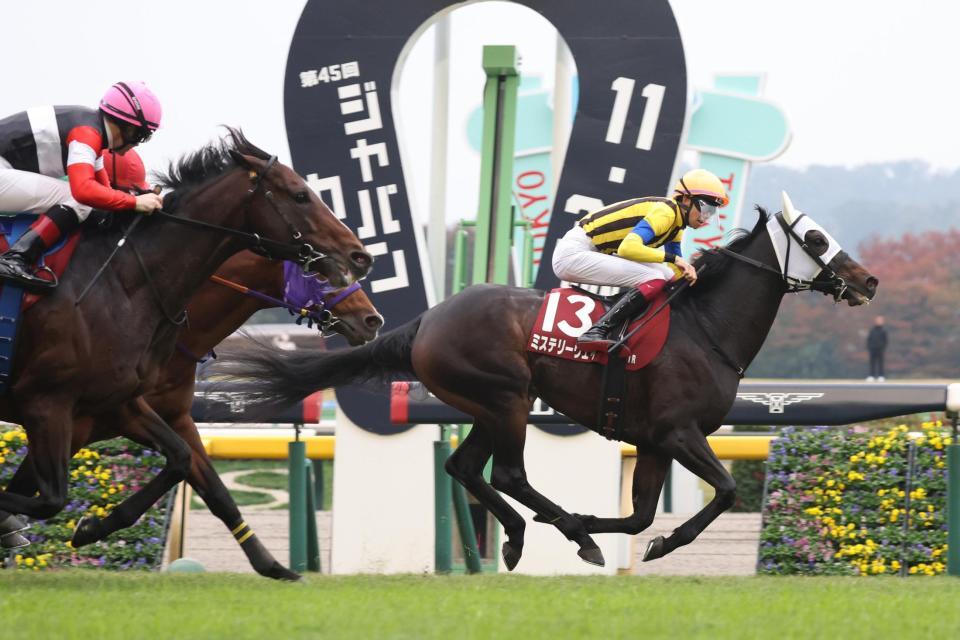 　スティンガーグラス（左手前）の猛追を振り切りアルゼンチン共和国杯を制したミステリーウェイ（右）