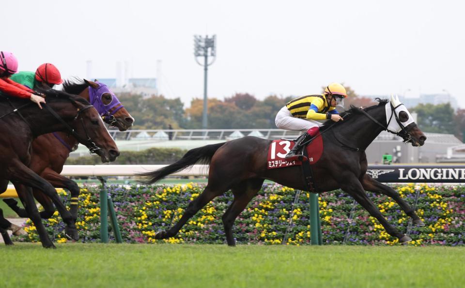 　スティンガーグラス（左手前）の猛追を振り切りアルゼンチン共和国杯を制したミステリーウェイ（右）